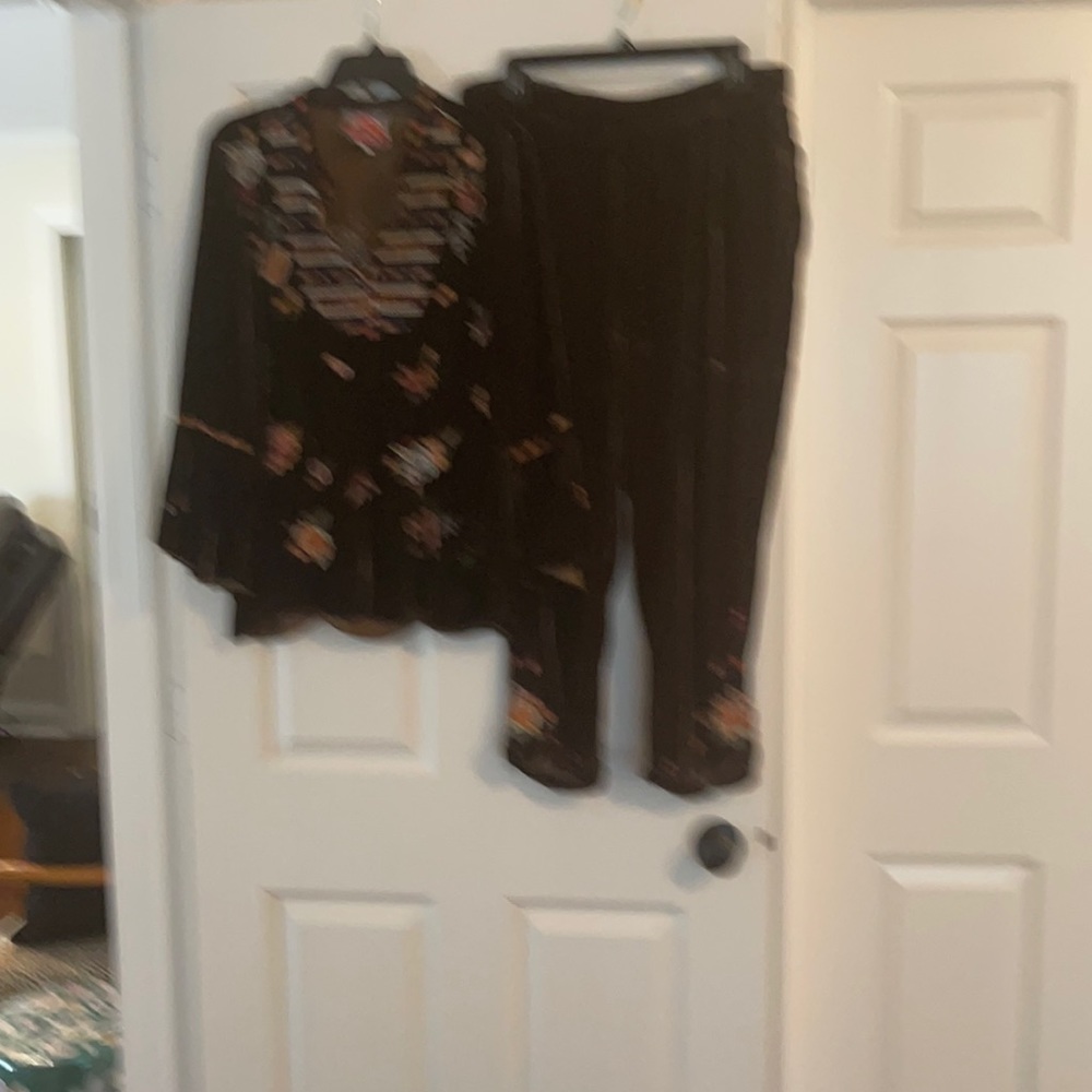 Johnny Was size L pants and top